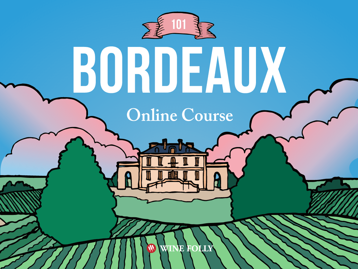 Bordeaux Wine 101: The Wines and The Region