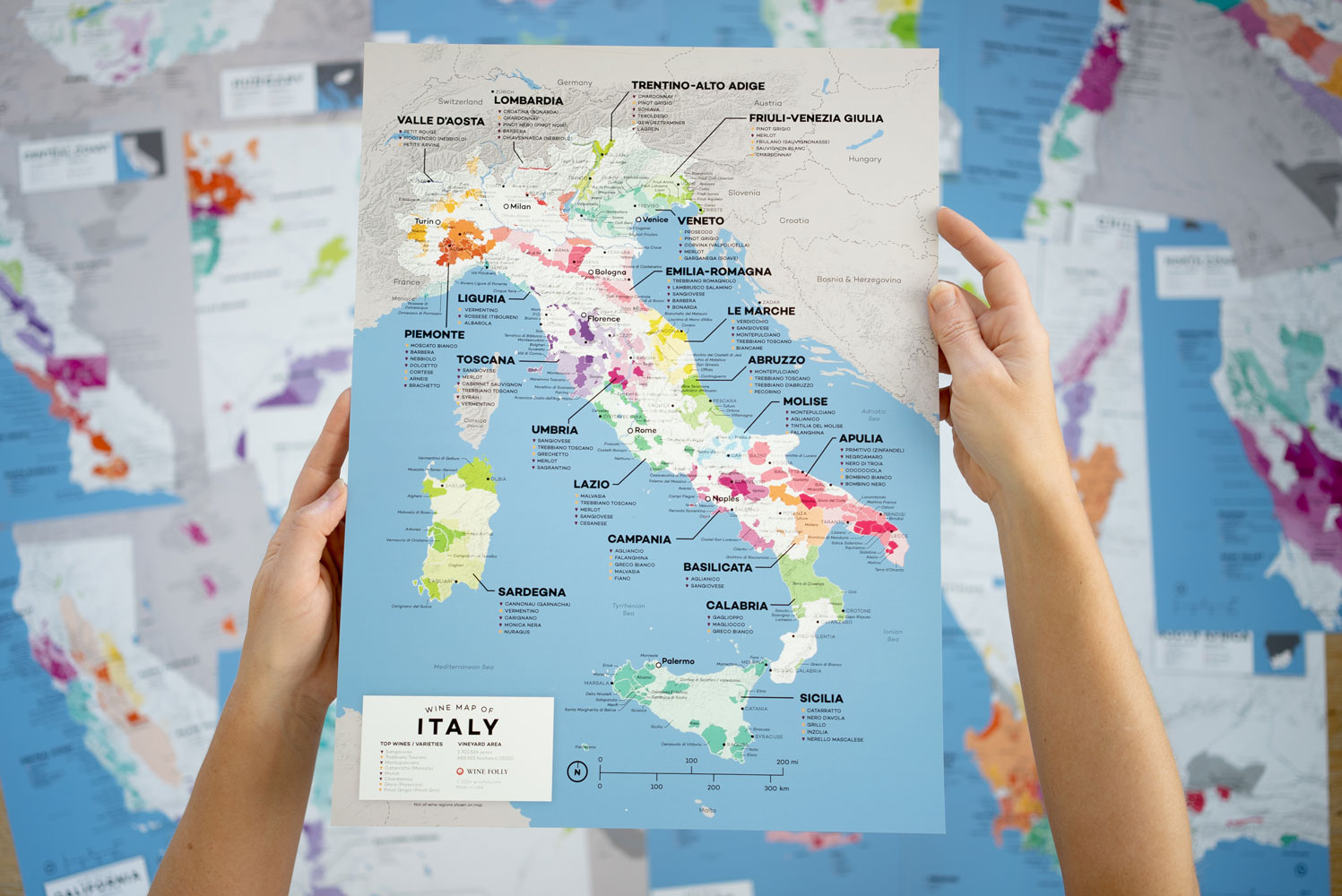 Wine Folly Map Set Italy Highlight