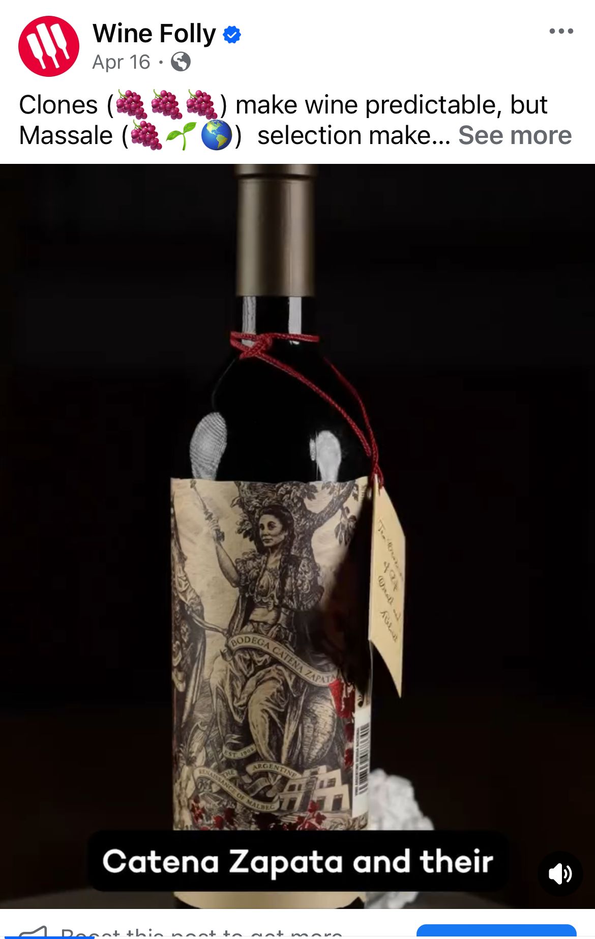 Wine Folly Facebook post for Catena Zapata. Caption reads 'Clones make wine predictable, but Massale selection make...' over a hero shot of the Catena Zapata bottle with its illustrated label and red ribbon tag.