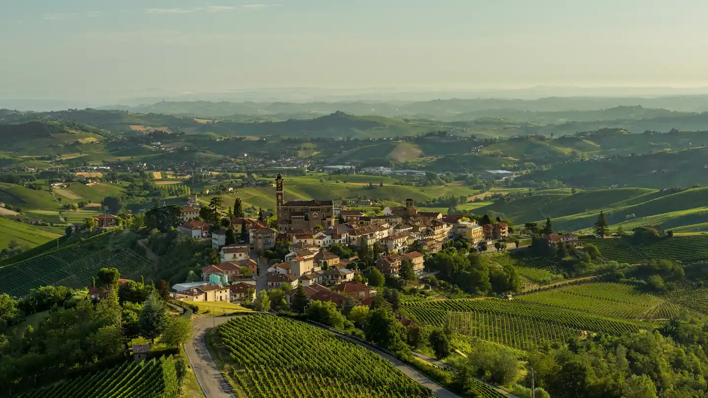 Asti vineyard